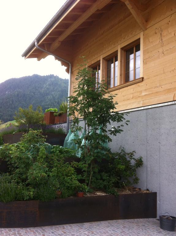 Diemtigen Chalet Park Apartment Mit Sauna Hamam חדר תמונה