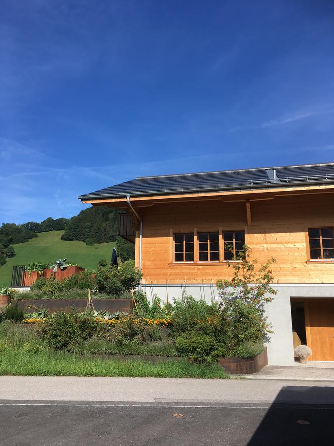 Diemtigen Chalet Park Apartment Mit Sauna Hamam מראה חיצוני תמונה