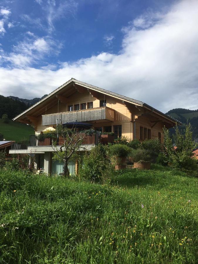 Diemtigen Chalet Park Apartment Mit Sauna Hamam מראה חיצוני תמונה
